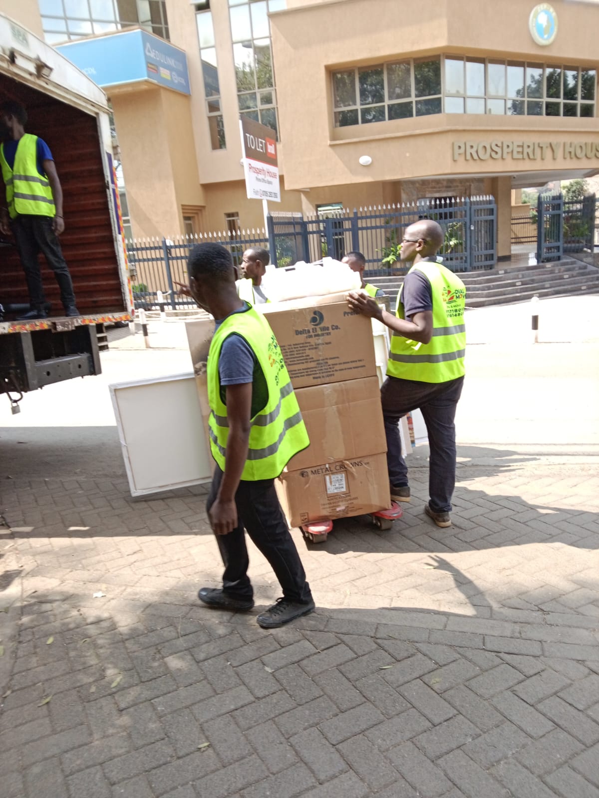 Pet Moving Services in Nairobi: What to Expect and How to Prepare